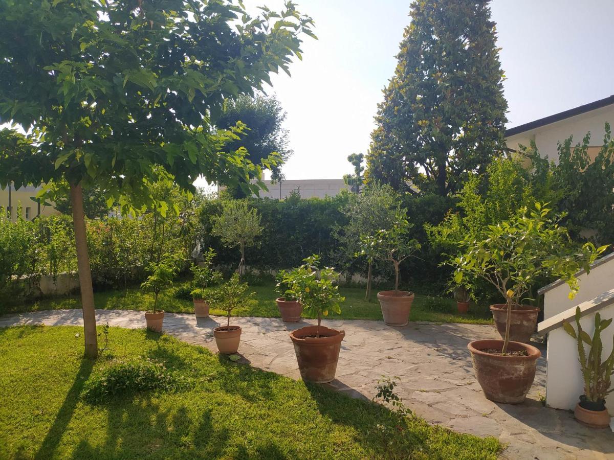 B&B Villa La Bouganville Camaiore Exterior photo