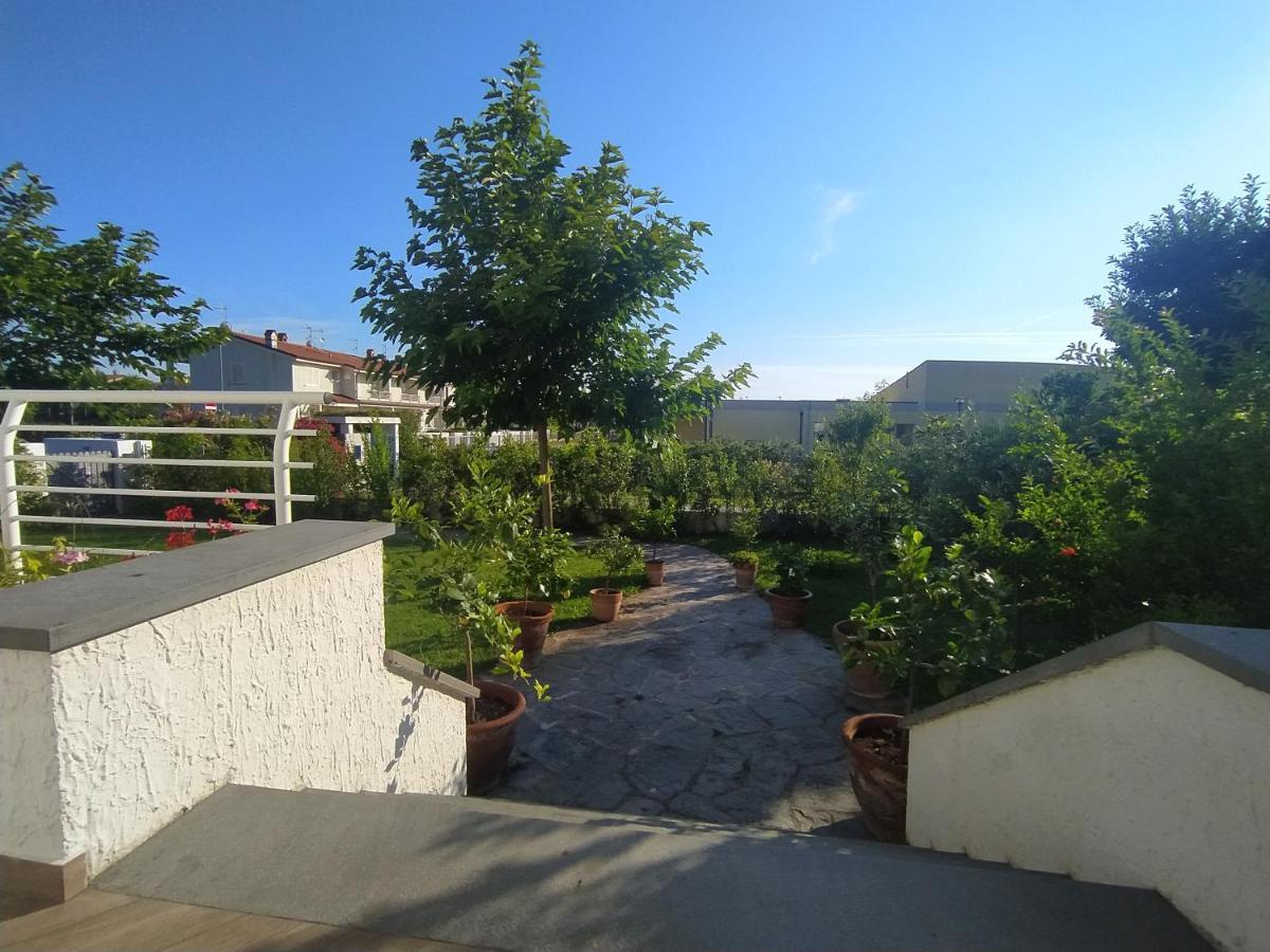 B&B Villa La Bouganville Camaiore Exterior photo