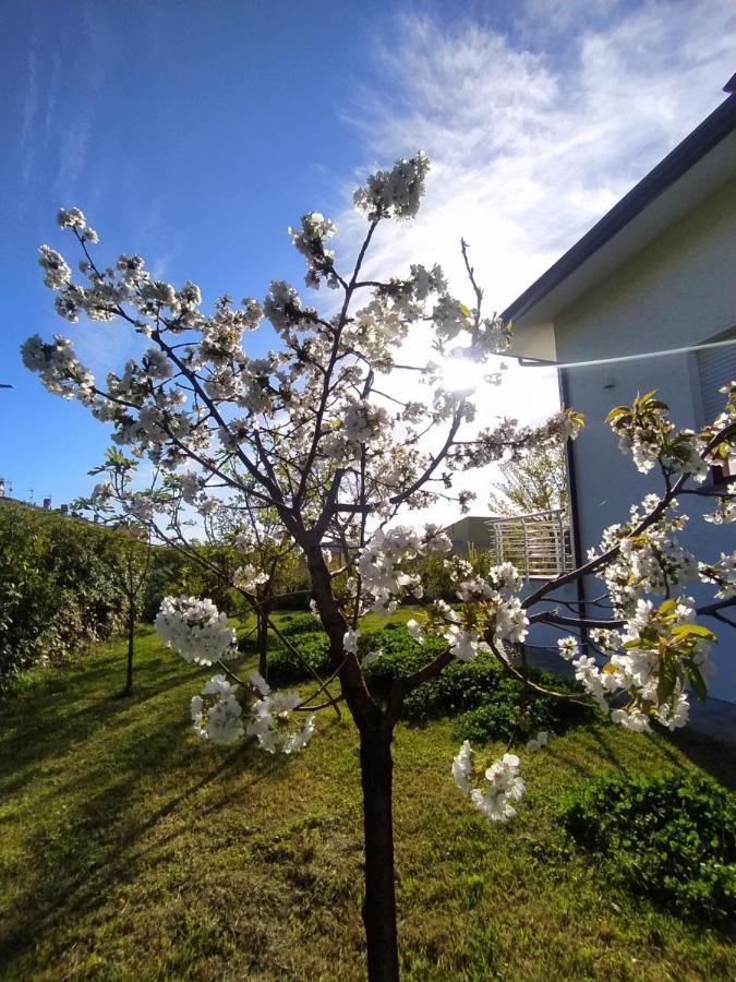 B&B Villa La Bouganville Camaiore Exterior photo